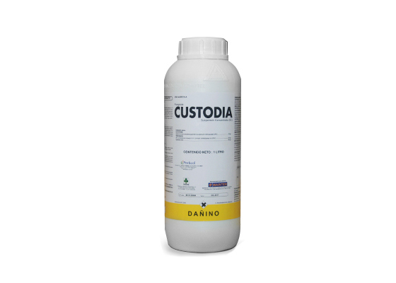 CUSTODIA ( C x 12 x 1  lt )