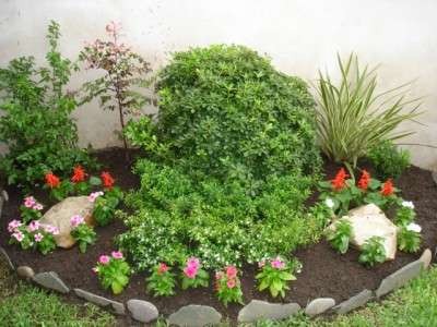 Concime gerani rose e piante fiorite-Caja de 1k