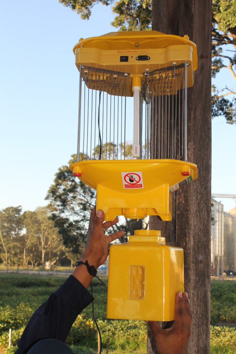 Lámpara contra mosquitos COMETA: Modelo eléctrica pequeña