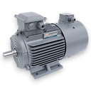 Motor eléctrico  YVF2-180M-4-18.5kw