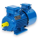 Motor eléctrico YVF2-160L-4-15kw