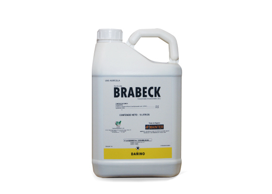 BRABECK ( C x 4 x 5 lt )