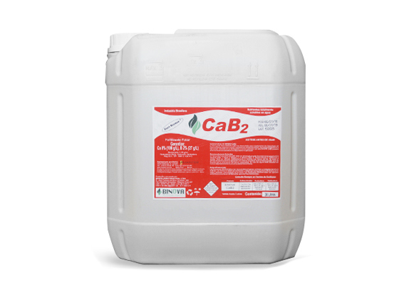 Binova Cab2 ( B x 20 lt )